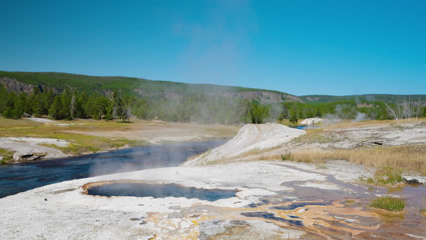 On a summer day in Yellowstone, geysers erupt alongside a flowing river that winds through lush forests, highlighting the park’s diverse natural beauty.