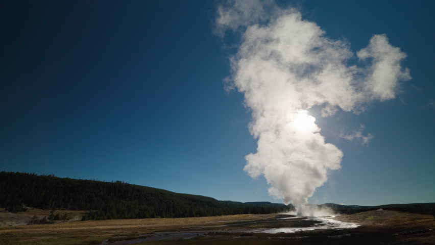 A wide-angle view captures a beautiful geyser erupting, with tall trees surrounding it and a clear summer sky above, highlighting Yellowstone