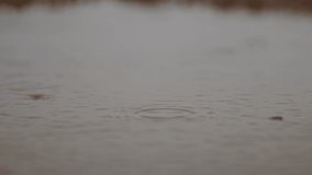 Rippled water surface in a nature reserve in Zeeland, Netherlands, during rainfall, super slow motion - Powered by Shutterstock - Get 15% off with code: PIKWIZARD15