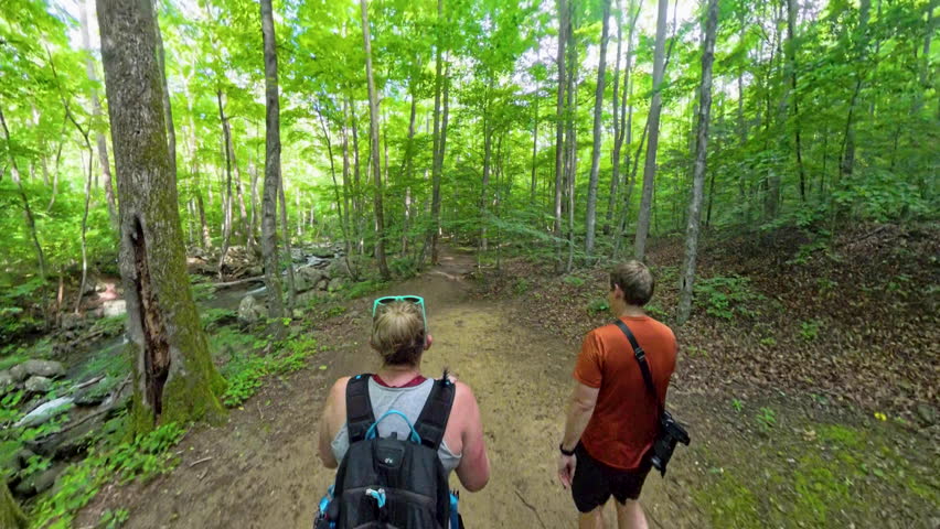 Hiking on Smooth Whiteoak Canyon Trail in Shenandoah National Park