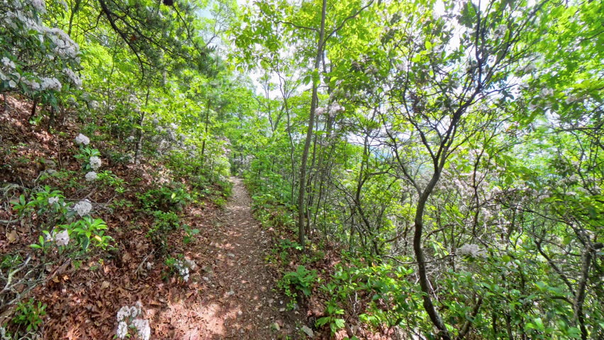 Hiking Along Rock Cliffs on Lewis Springs Trail in Shenandoah National Park