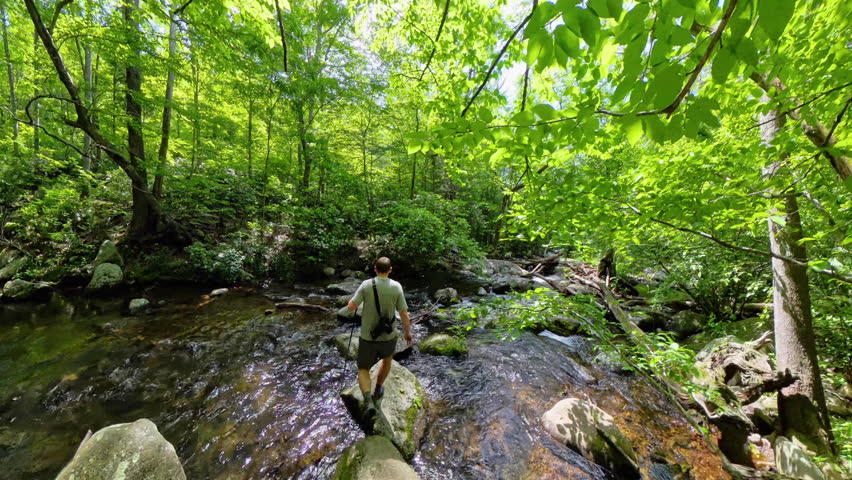 Man Crosses Creek on Rocks through Shenandoah National Park