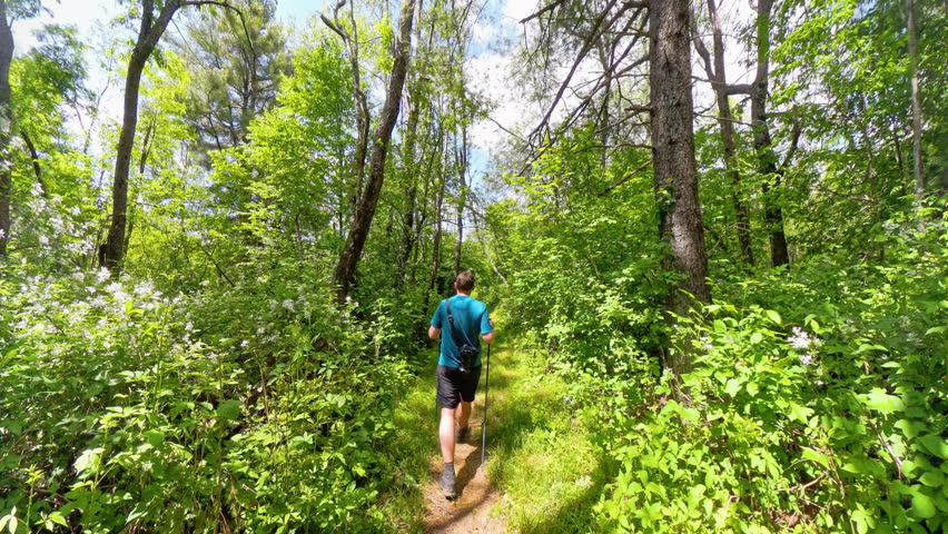 Man Hikes on the Appalachian Trail in Shenandoah National Park