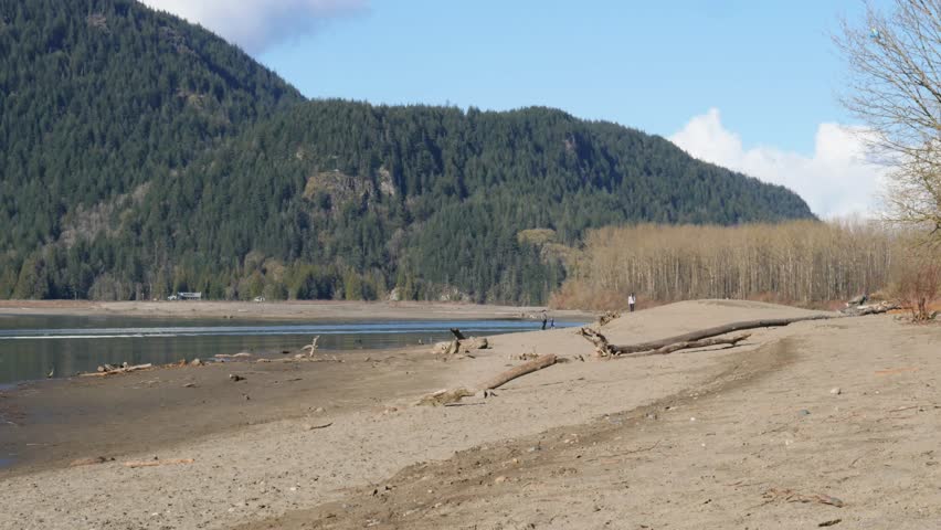 The beach next to Fraser River at Island 22 Regional Park during a winter season in Chilliwack, British Columbia, Canada