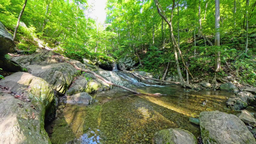 Pool Below Waterfall in Cedar Run in Shenandoah National Park