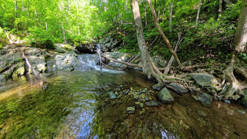 Rising Up Over Pool and Waterfall in Cedar Run in Shenandoah