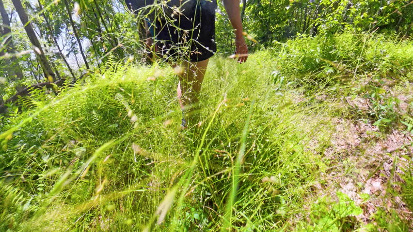 Womans Hand Sweeps Across Grassy Trailside along trail in Shenandoah
