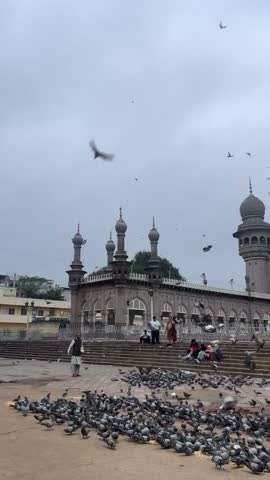 A bunch of pegions flying while feeding them 