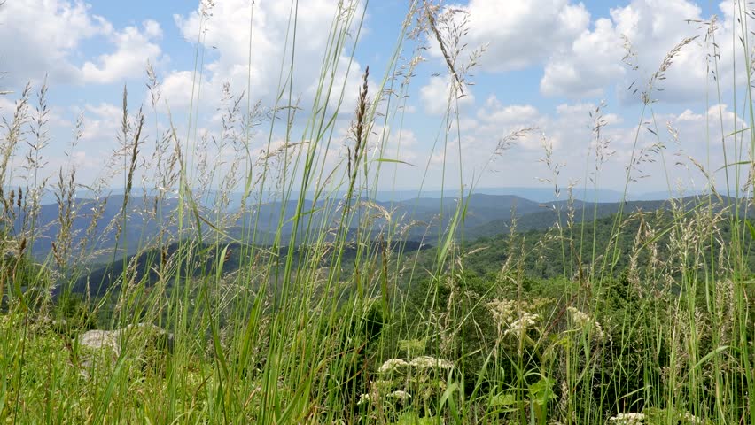 View of the Blue Ridge Mountains from Hazel Overlook.