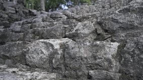 Uneven stone steps lead up an ancient structure, surrounded by lush vegetation. Sunlight filters through the trees, highlighting the weathered stones of this historical site. - Powered by Shutterstock - Get 15% off with code: PIKWIZARD15
