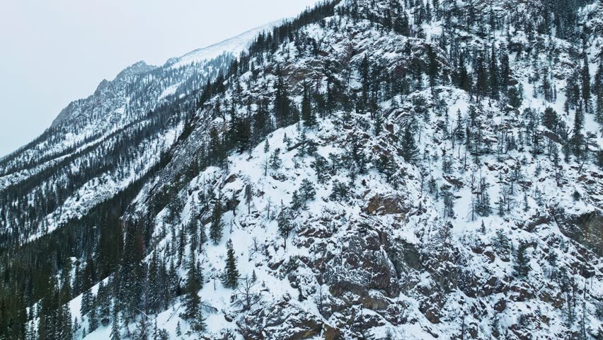 Aerial drone ascend along rugged snow capped mountain landscape, dense evergreen forests below on edge of slope