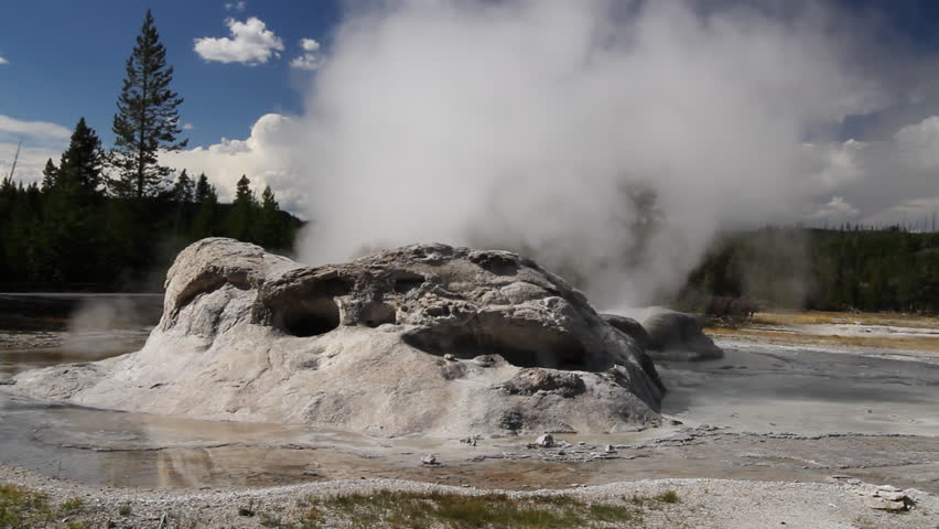 Grotto Geyser erupting in Yellowstone Park, Wyoming. Side view.
