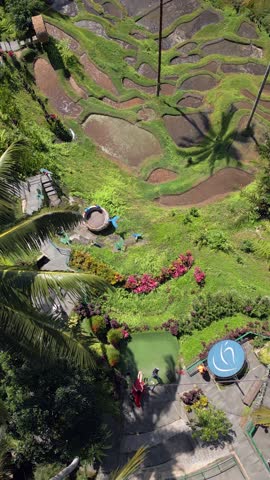 Aerial view of a tourist swinging on a popular swing on the rice terraces in Ubud Bali, Indonesia