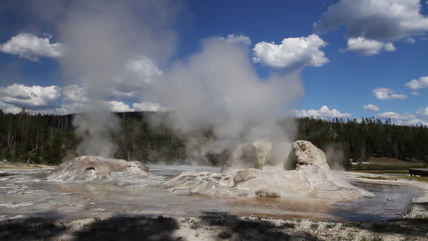 Grotto Geyser erupting in Yellowstone Park, Wyoming. Frontal view.