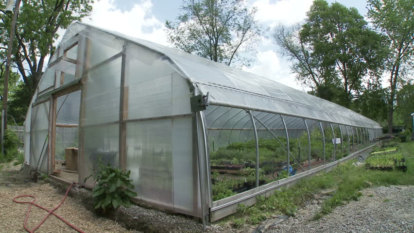 Dolly shot of a hoophouse (plastic greenhouse) on a summer's day.