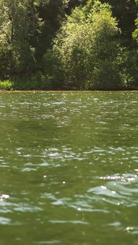 Splashing water of pure lake against deep green forest on bank. Clean river water waves and wild wood at reserved park area. Travelling by nature