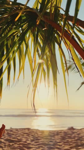 Golden sunset over a sandy beach, viewed through the hanging leaves of a palm tree.
