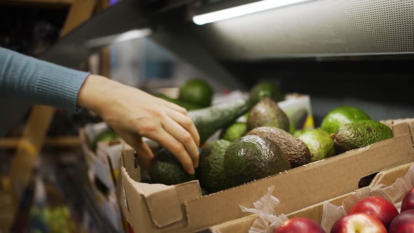 Careful customer selecting ripe green avocados from cardboard display box while grocery shopping in fresh produce section of modern supermarket