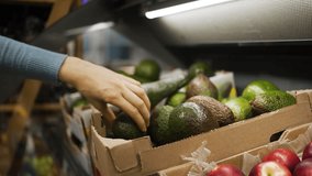 Careful customer selecting ripe green avocados from cardboard display box while grocery shopping in fresh produce section of modern supermarket - Powered by Shutterstock - Get 15% off with code: PIKWIZARD15
