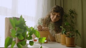 Sunlight streaming through window, woman carefully repotting houseplants at wooden table, showcasing mindful connection with indoor greenery during peaceful gardening moment - Powered by Shutterstock - Get 15% off with code: PIKWIZARD15