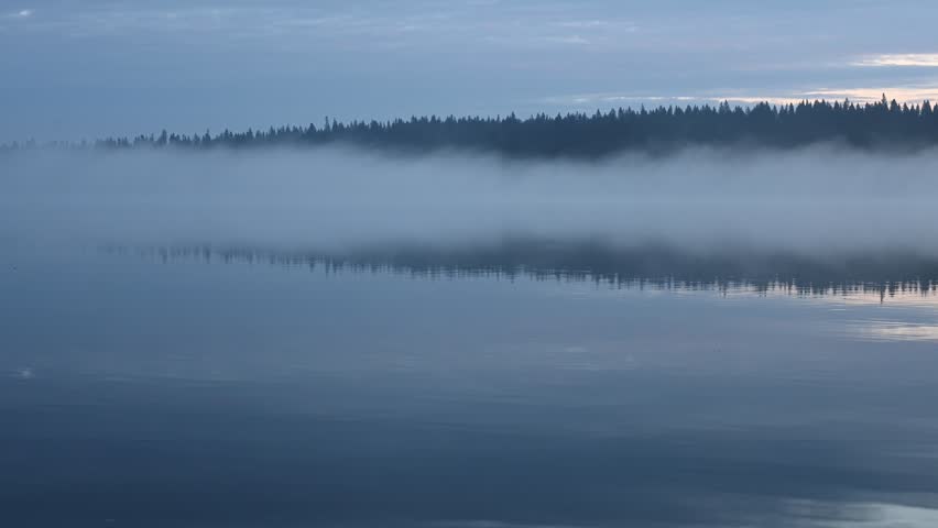 Morning blue hour at a calm northern lake with fog over the water and trees in the distance