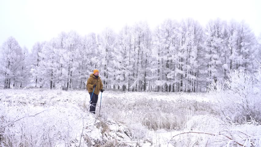 A bearded man in a yellow jacket stands against the background of trees in the frost, holds sticks for Nordic walking and enjoys the winter view and the beauty of nature.