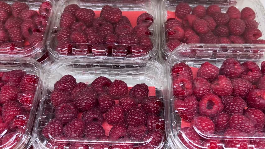 Raspberries in transparent plastic trays displayed by grocer, tracking shot on raspberries in transparent boxes
