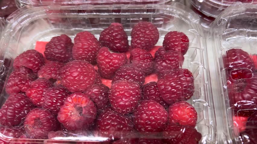 Raspberries in transparent plastic trays displayed by grocer, tracking shot on raspberries in transparent boxes