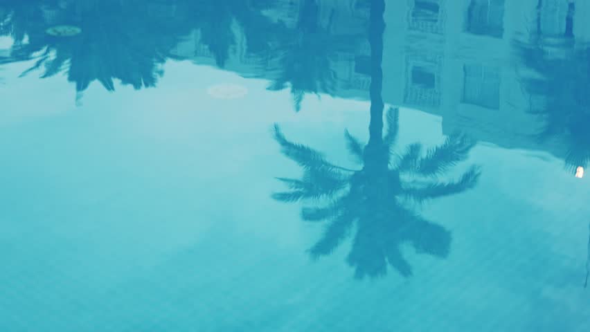 Reflection of a tropical palm tree in a calm swimming pool surface, travel concept background