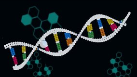 Animating DNA strand and binary coding for scientific data processing visualization. Biotechnology, genetics, bioinformatics, sequencing, analysis, digital - Powered by Shutterstock - Get 15% off with code: PIKWIZARD15