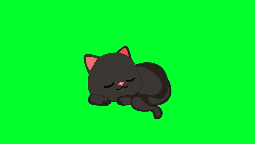 a black cat sleeping on a green background