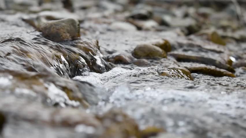 Water gurgling in mountain stream close up, detail from shallow creek with clear water