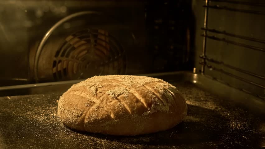 Homemade organic dough bread in kitchen oven. Making bread and eco production. Baker bakes food at bakery. Organic fresh bread. Sourdough bread being baked in oven. Close-up in 4K, UHD