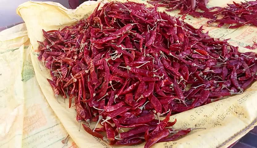 A stunning close-up of sun-dried red chilies, a staple in Indian and global cuisines. These vibrant, fiery peppers add rich color, heat, and flavor to various dishes, making them essential for spice.