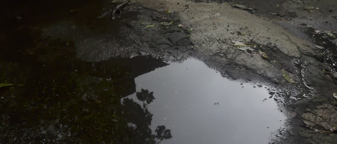 Natural Scenery Reflection in Water Puddle, water ripples from raindrops, zoom in shot into Water Puddle