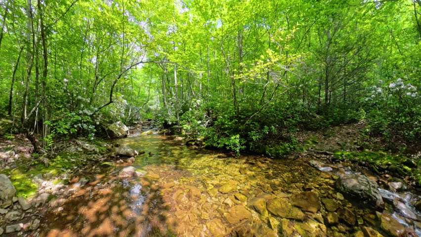 Panning over Flowing Creek in Shenandoah National Park