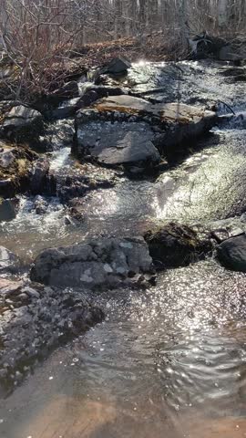 Rocky Shores of Lake Michigan