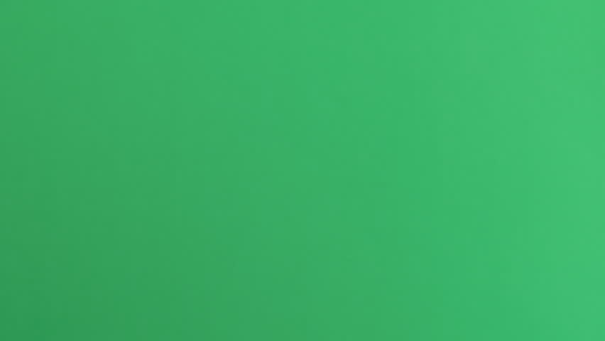 Shutterstock Video