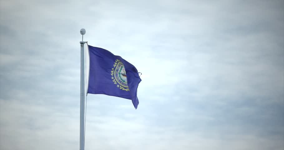 This is a shot of the state of new hampshire flag blowing in the wind. 