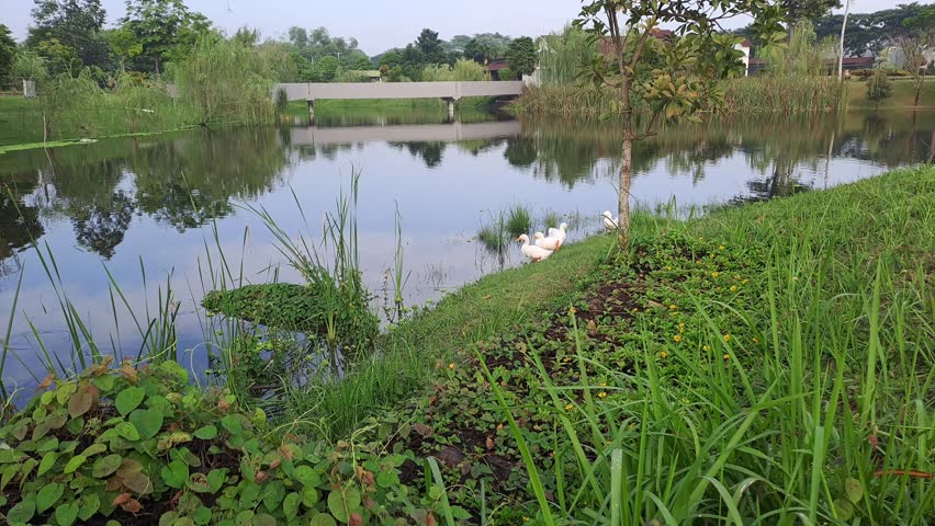 A calming atmosphere in a city center park complete with a lake, a place to calm the mind after a tiring day at work. Holiday time, refreshing time, need peace