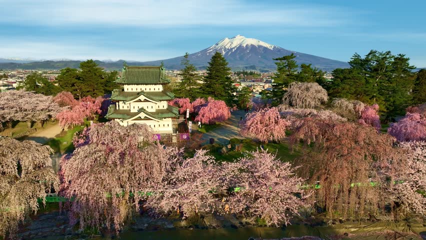 Sakura tree with Japanese samurai castle in Hirosaki in spring, aerial view of cherry blossom in Japan, Japanese springtime tourism