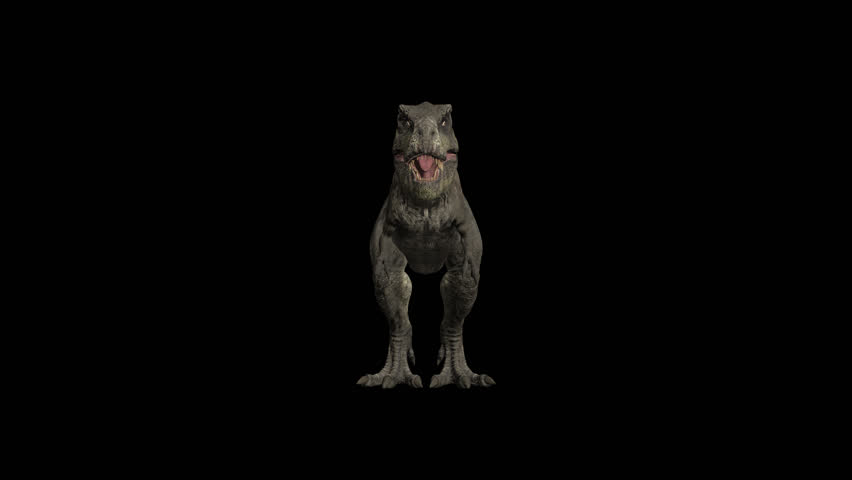 Tyrannosaurus Rex rotating on alpha channel background in seamless loop