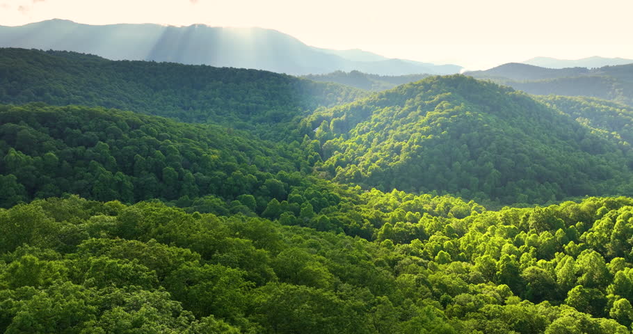 Nature landscape of Tennessee Appalachian mountains at sunrise. Mountain forest with green canopies in summer season