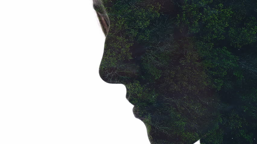 Nature mindfulness. Sustainable Earth. Aerial view forest with dust in air floating double exposure profile silhouette of female face isolated on white empty space background.