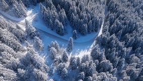 A breathtaking aerial shot beautifully showcases the enchanting winter wonderland of Courchevel, France, with its snowladen trees, and winding roads that create a picturesque sight - Powered by Shutterstock - Get 15% off with code: PIKWIZARD15