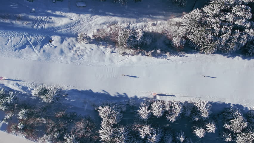 This stunning aerial photo captures Courchevels snowy landscape, showcasing intricate ski trails and enchanting snowcovered trees, creating a perfect winter wonderland for adventure lovers