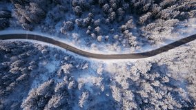 Stunning aerial shot showcasing a winding road through snowcovered forests in Courchevel, France, presenting a picturesque winter landscape - Powered by Shutterstock - Get 15% off with code: PIKWIZARD15