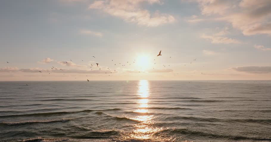 Morning sun rises over Black Sea in Bulgaria, illuminating flying birds. Calm waves reach the shore, while scattered seagulls create movement in sky, enhancing the beauty of coastal landscape.