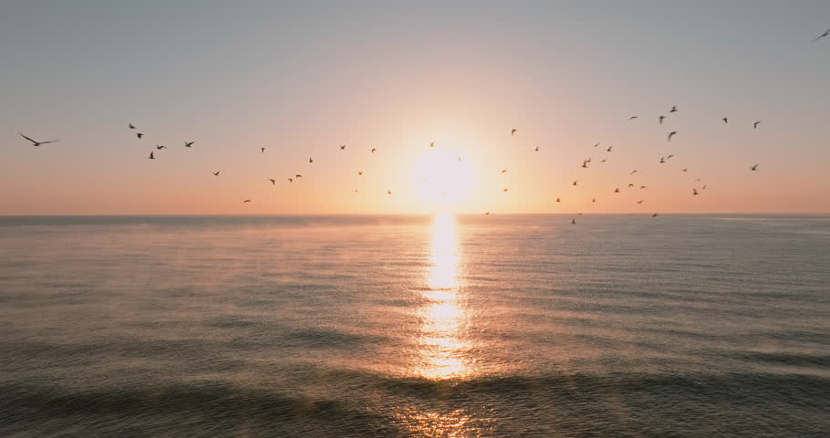 Ocean waves glisten under golden sunrise, seabirds gracefully flying overhead summer. Captivating scenery reflects peace, freedom, and beauty of untouched coastal nature. Travel