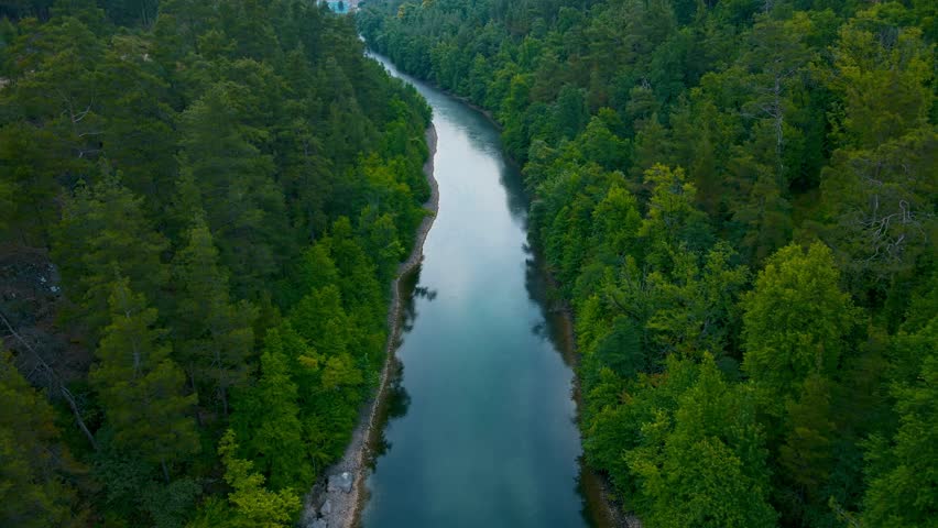 Aerial view, stream among trees